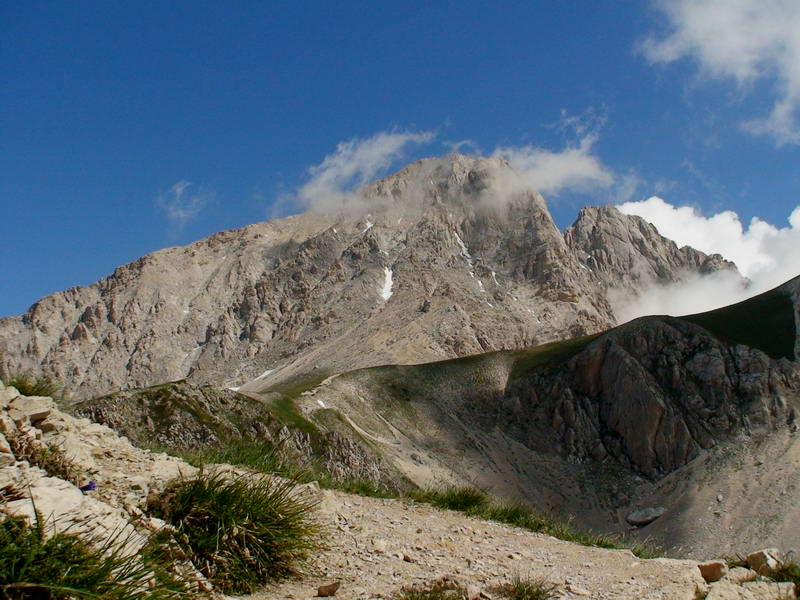 Papaveri sul Gran Sasso?